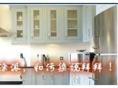 十大品牌油漆涂料-涂派漆-国际油漆图2