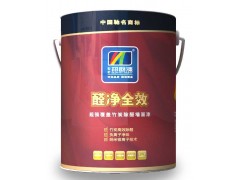 弹性油漆招商图3