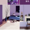 中国十大品牌内墙漆邦韵漆供应淡紫色内墙漆