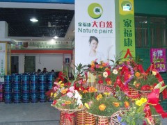 批发供应中国十大品牌油漆涂料大自然净味多功能墙面漆免费加盟图2