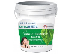 K11通用水泥聚合物防水涂料图2