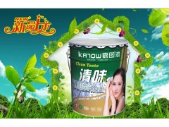中国著名品牌嘉图漆图3