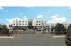 银箭厂家直销闪光铝银浆ZF-5422图3