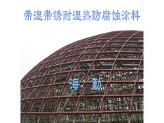 带湿带锈型耐湿热防腐蚀涂料图2